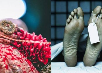 बेटे की जान बचाने बाघ से भिड़ गई जांबाज महिला, खबरों में अब है उनकी ही बहादुरी के चर्चे