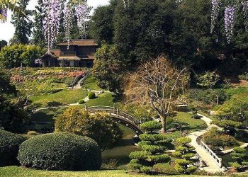 The Huntington Library, Art Museum, and Botanical Gardens: A Digital Oasis of Knowledge and Beauty